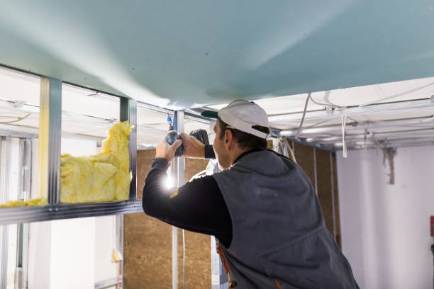 Best Commercial Insulation in Herricks, NY